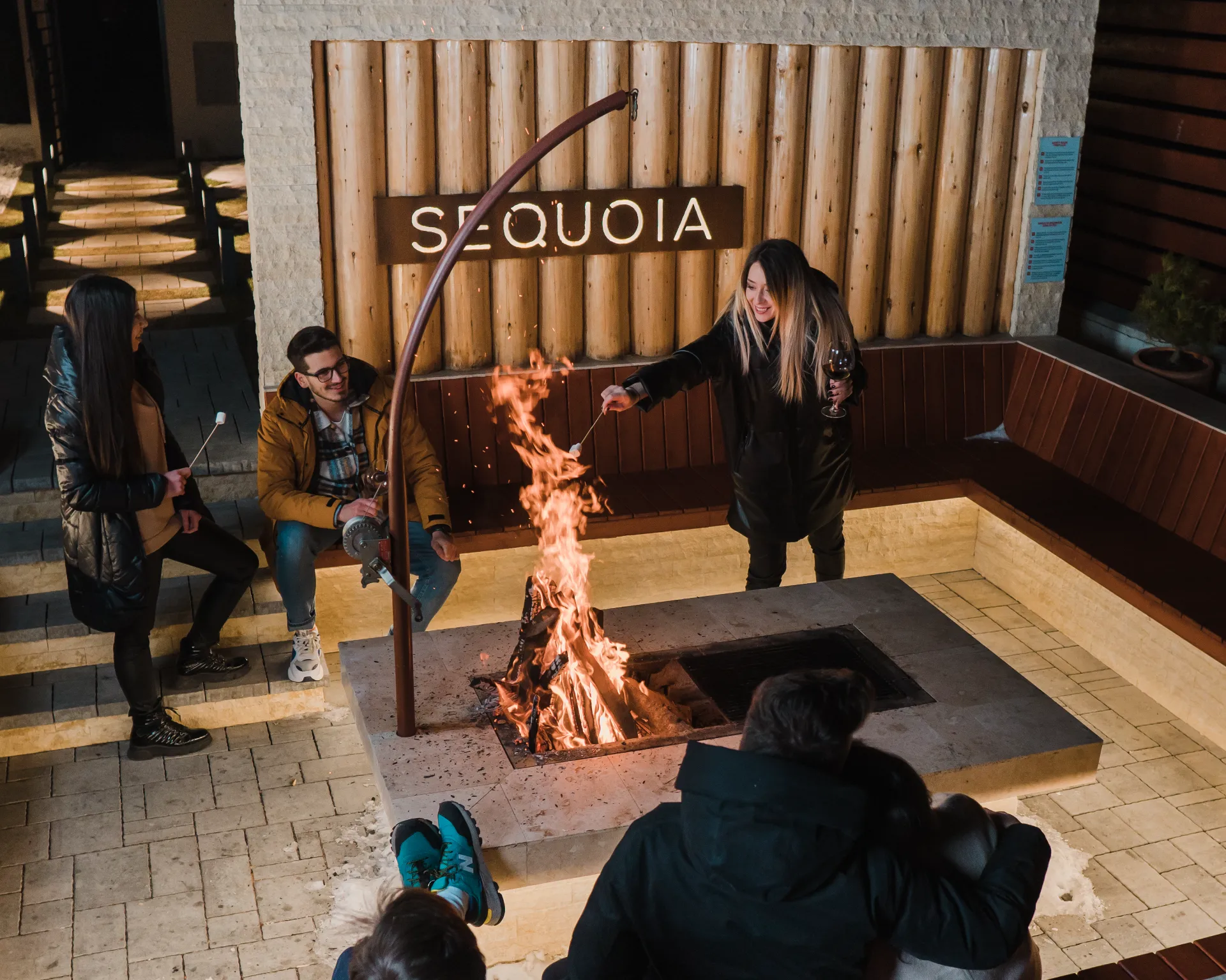 Vila Sequoia — fotografia 4 din galerie